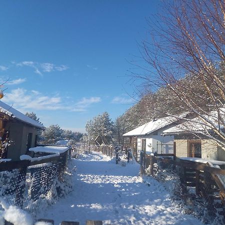 Chatki U Patki Lebieniec Exteriér fotografie