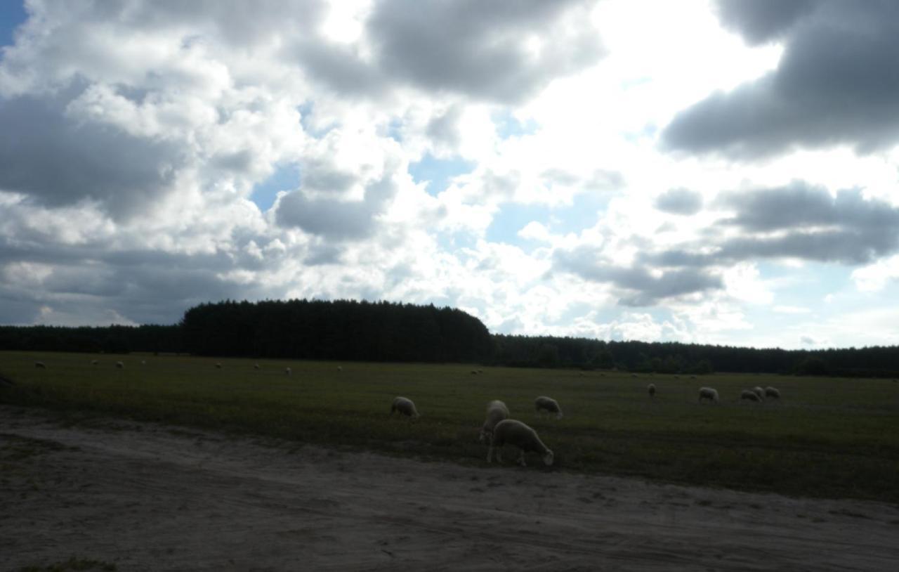 Chatki U Patki Lebieniec Exteriér fotografie