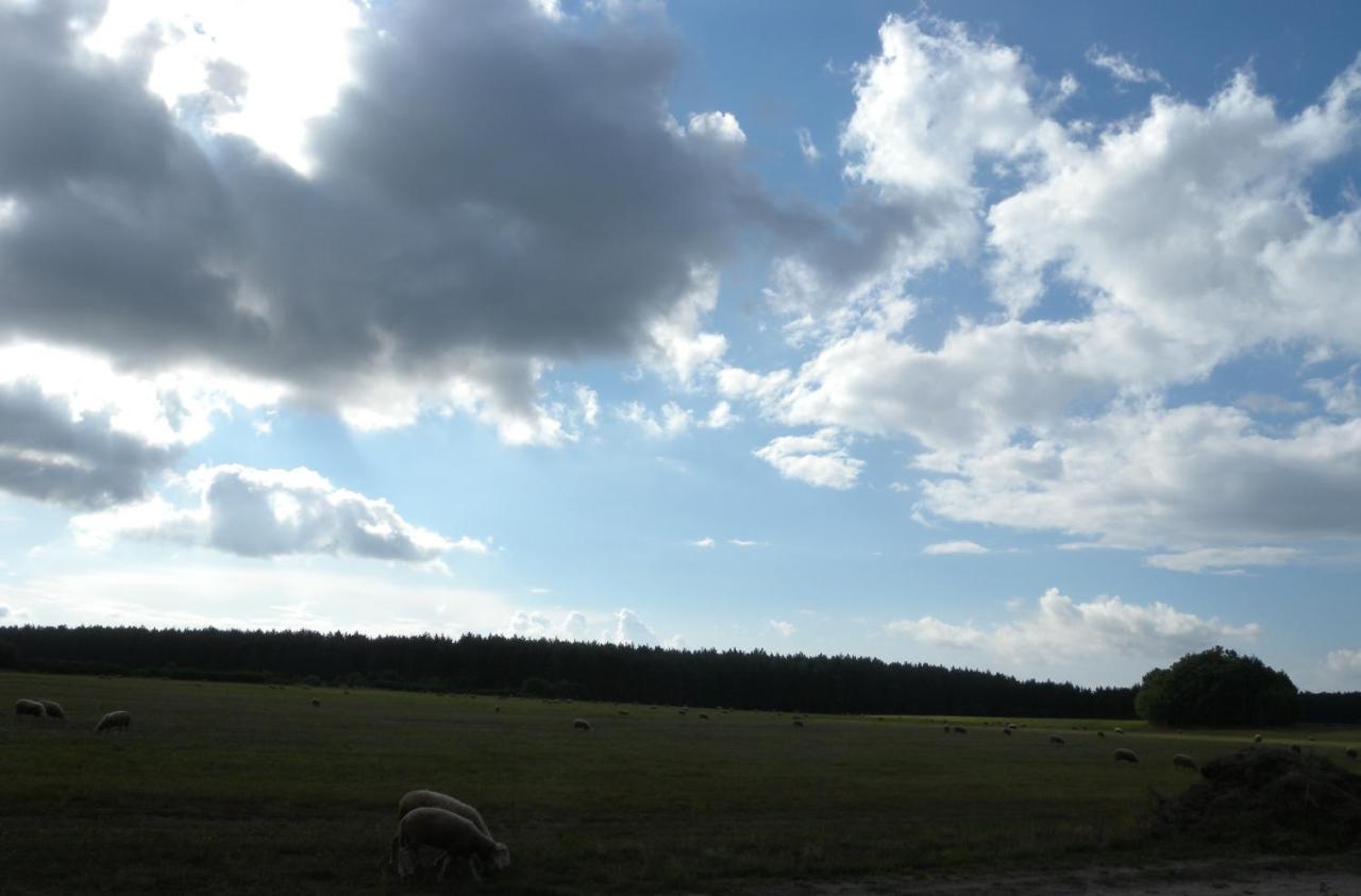 Chatki U Patki Lebieniec Exteriér fotografie