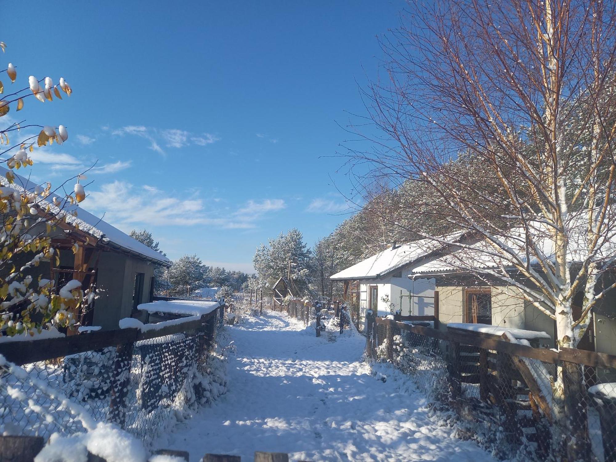 Chatki U Patki Lebieniec Exteriér fotografie